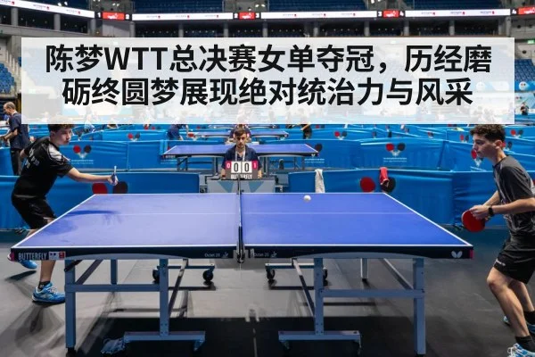 陈梦WTT总决赛女单夺冠，历经磨砺终圆梦展现绝对统治力与风采