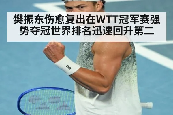 樊振东伤愈复出在WTT冠军赛强势夺冠世界排名迅速回升第二